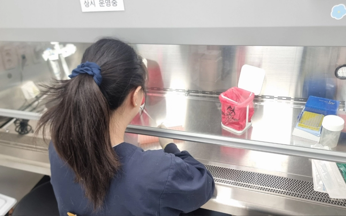 충남도 보건환경연구원이 인플루엔자를 검사하고 있다. 도 제공