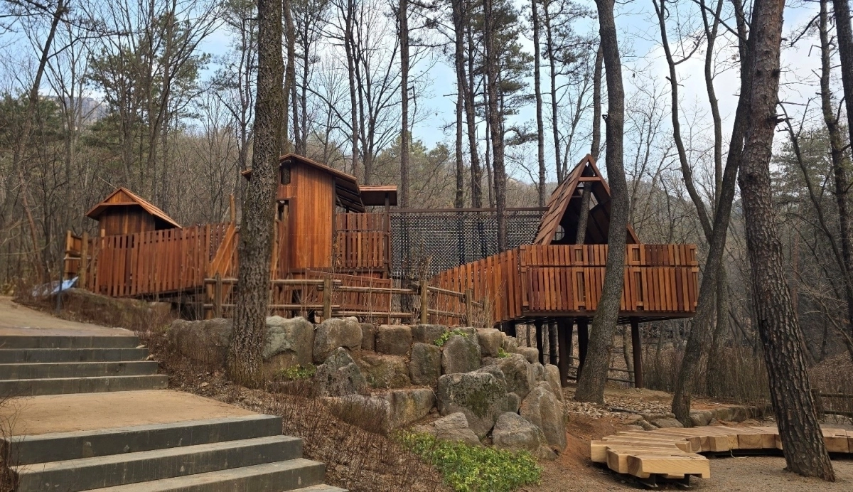 서울 노원구 수락산 유아숲체험원의 트리하우스 놀이시설.   노원구 제공