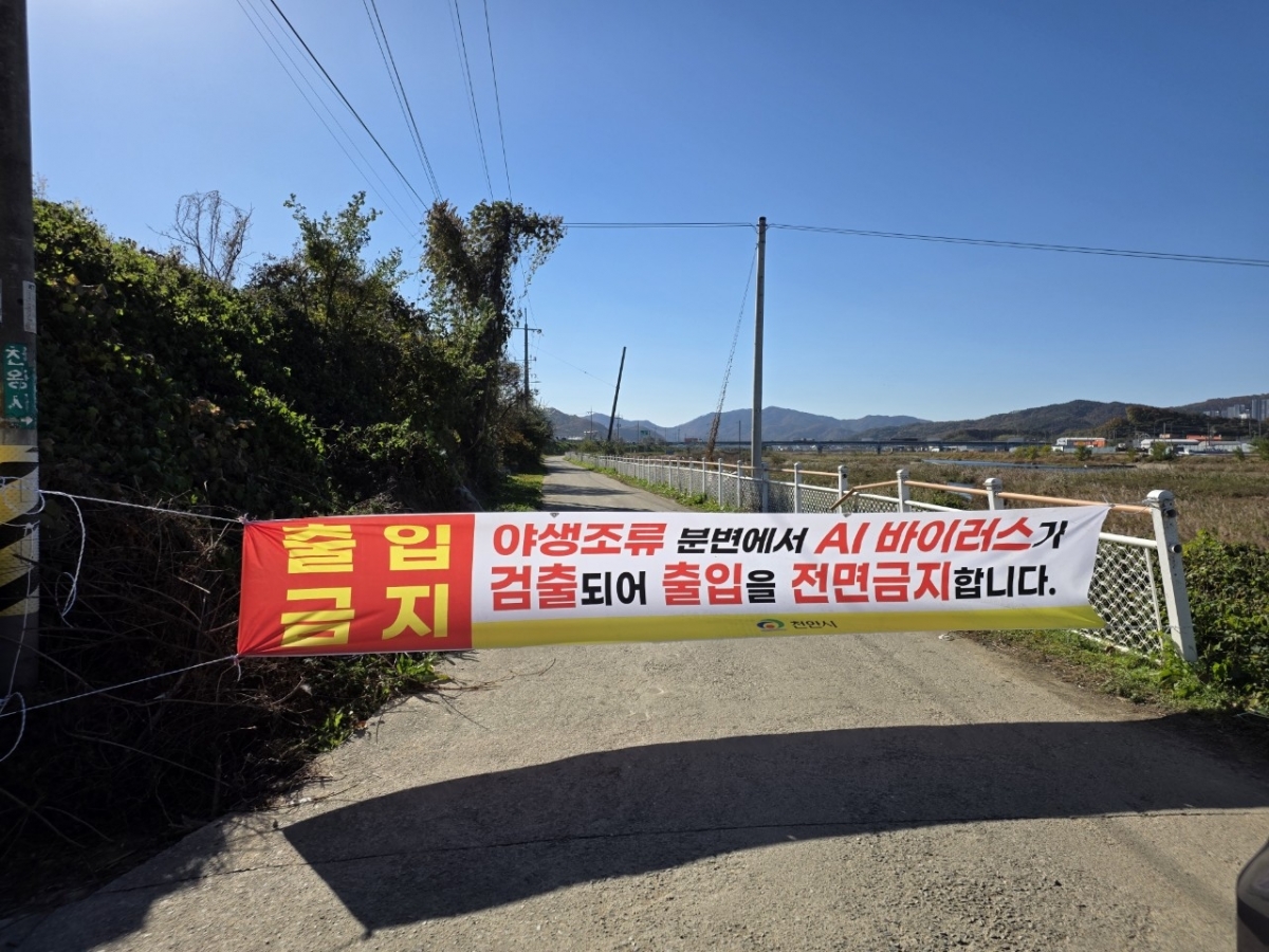 충남 천안 풍서천 일월 철새도래지 진입 차단. 시 제공