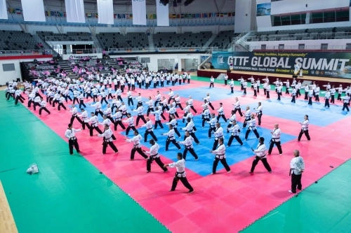 11월에 열린 글로벌 싱크 탱크 서밋 2025 행사에서 참가자들이 태권도원 티1(T1)경기장에 모여 수련을 하고 있다. 태권도진흥재단 제공