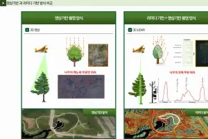 하늘 위 레이저로 ‘산림 재앙’ 잡는다… 임업진흥원, 헬기 라이다 예찰 도입