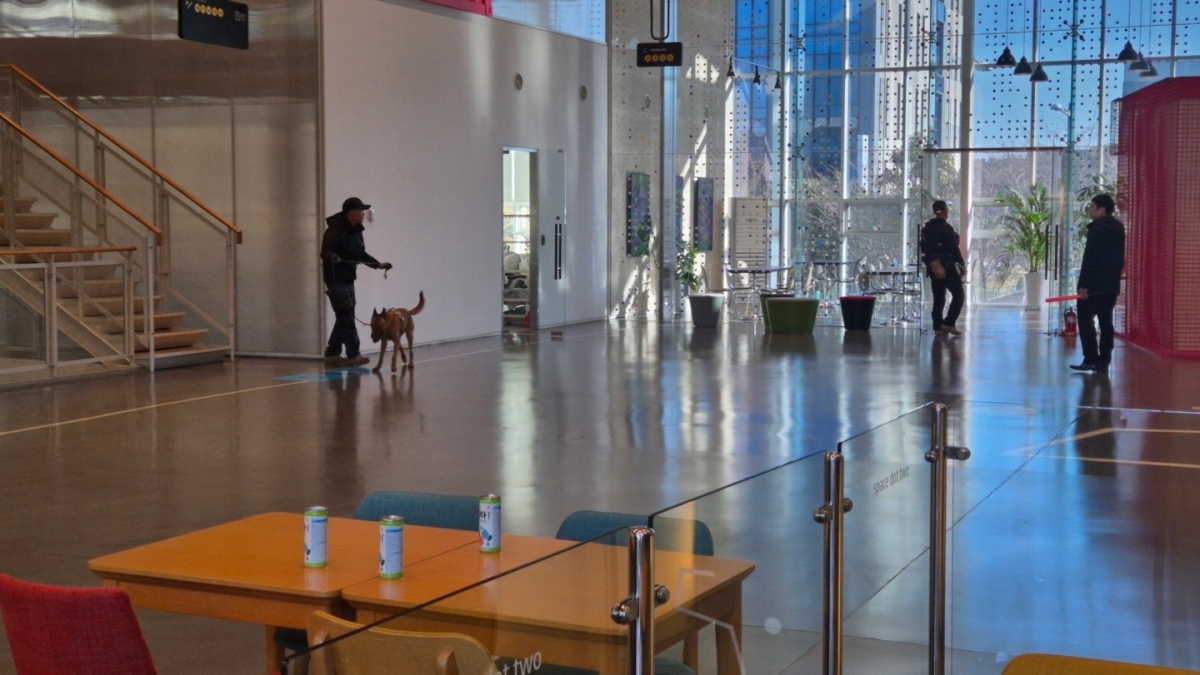 경찰청 특공대 등이 폭발물 설치 신고를 받고 카카오 본사 내부를 수색하고 있다. 제주도소방안전본부 제공