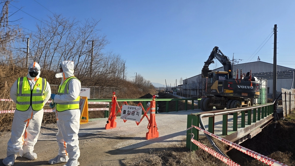 충남 천안시 성환읍 산란계 농장에서 살처분 작업이 진행되고 있다. 이종익 기자