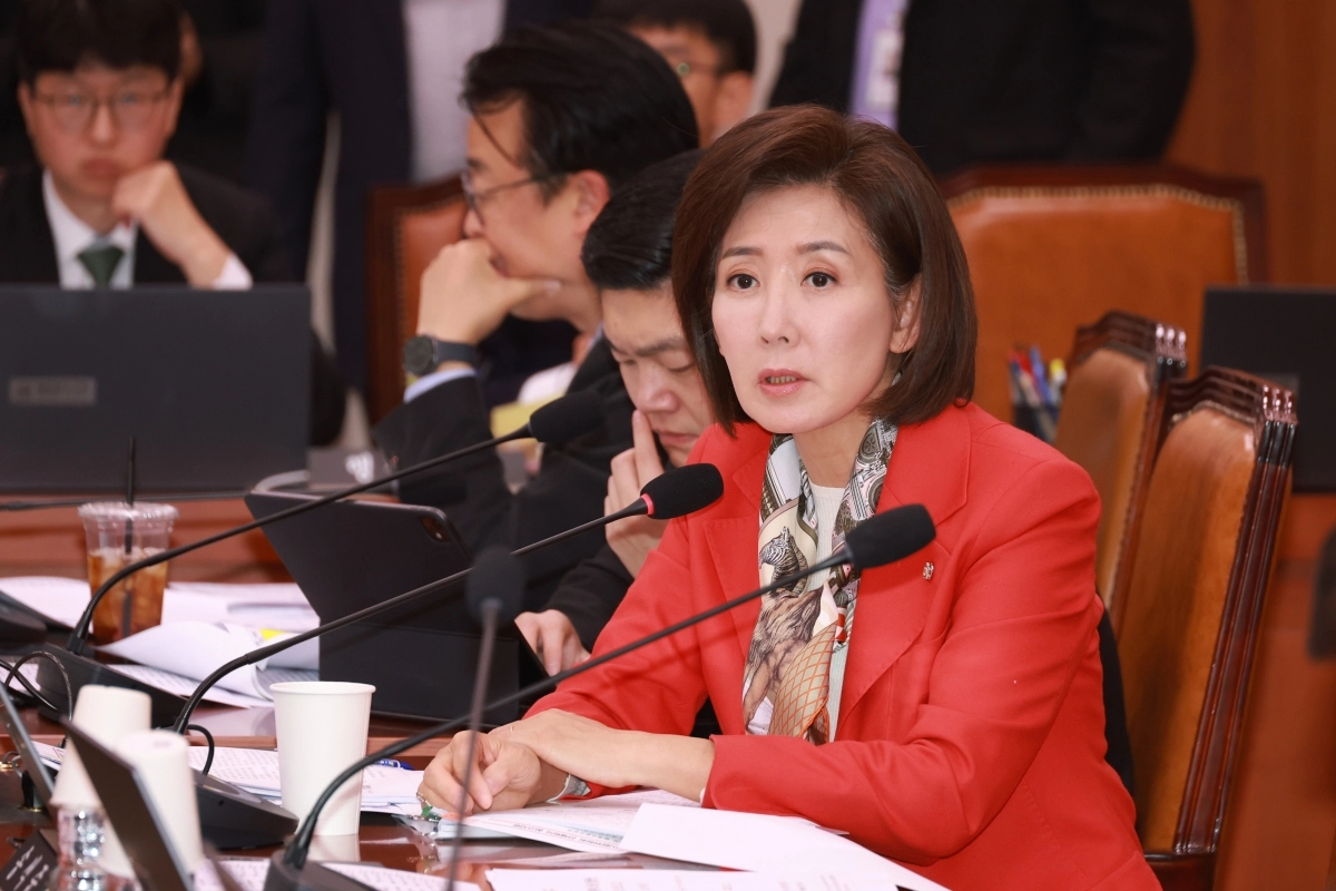 질의하는 나경원 의원