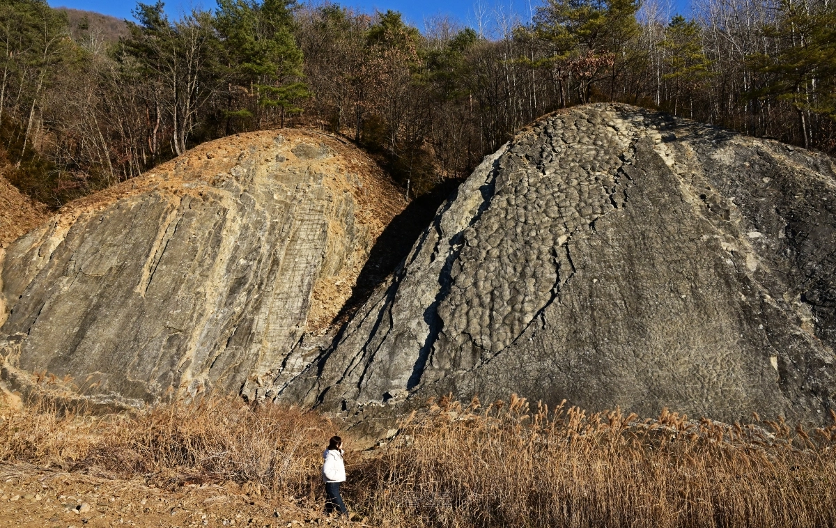 문곡리 스트로마톨라이트와 건열 구조.