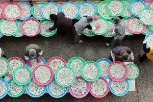 오늘 동지… 팥죽 새알심 만들기