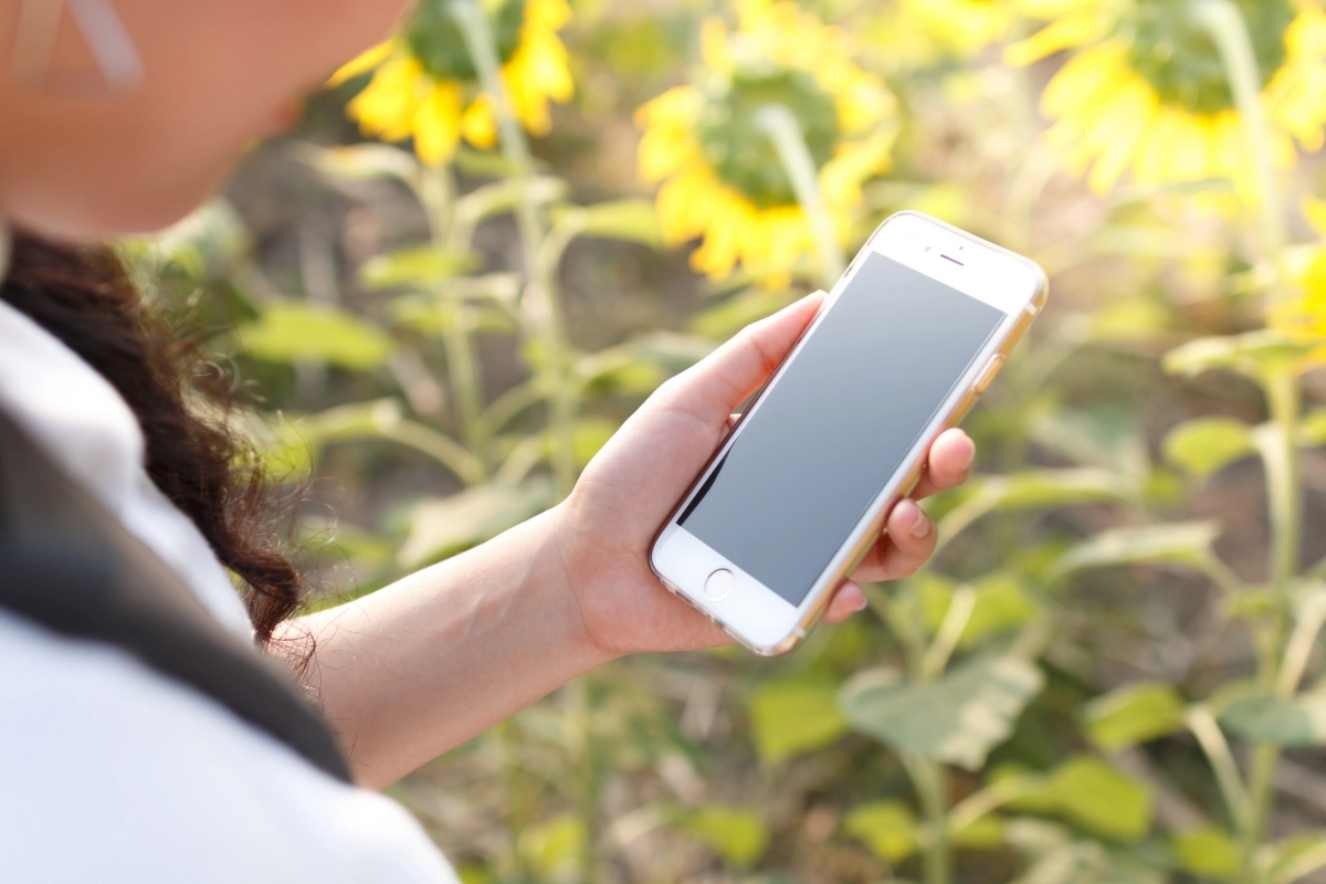 스마트폰으로 메시지를 확인하는 모습. 전문가들은 상대방이 사용하는 단어만으로도 성격 특성을 파악할 수 있다고 설명한다. 123rf