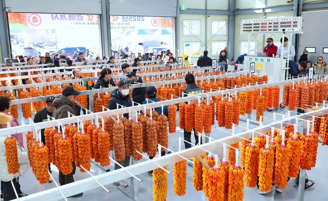 지난 8일 경남 함양군 안의농협 서하지점에서 열린 명품 곶감 초매식 모습. 함양군 제공