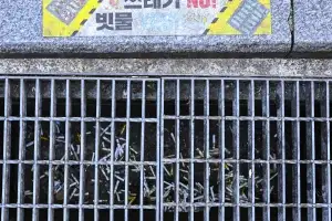 거리 위 버려진 양심