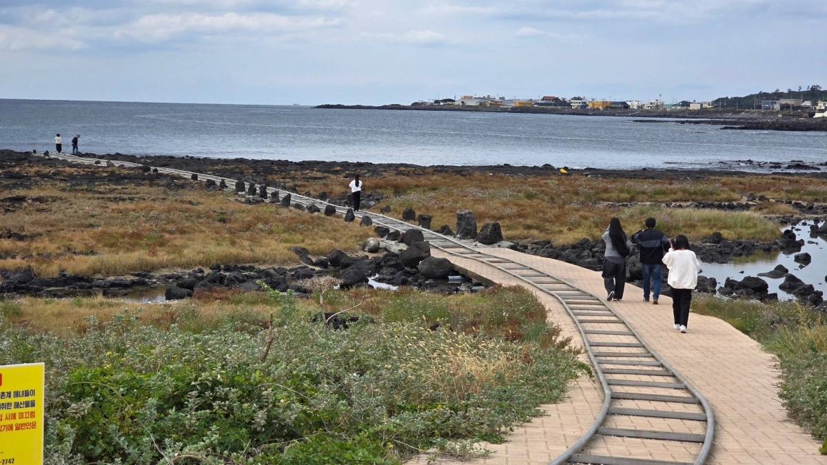 제주도 서귀포시 대정 일과리 바다를 따라 이어진 소라 운반 레일이 ‘바다기찻길’로 불리며 새로운 어촌 풍경을 만들고 있다. 서귀포시 제공