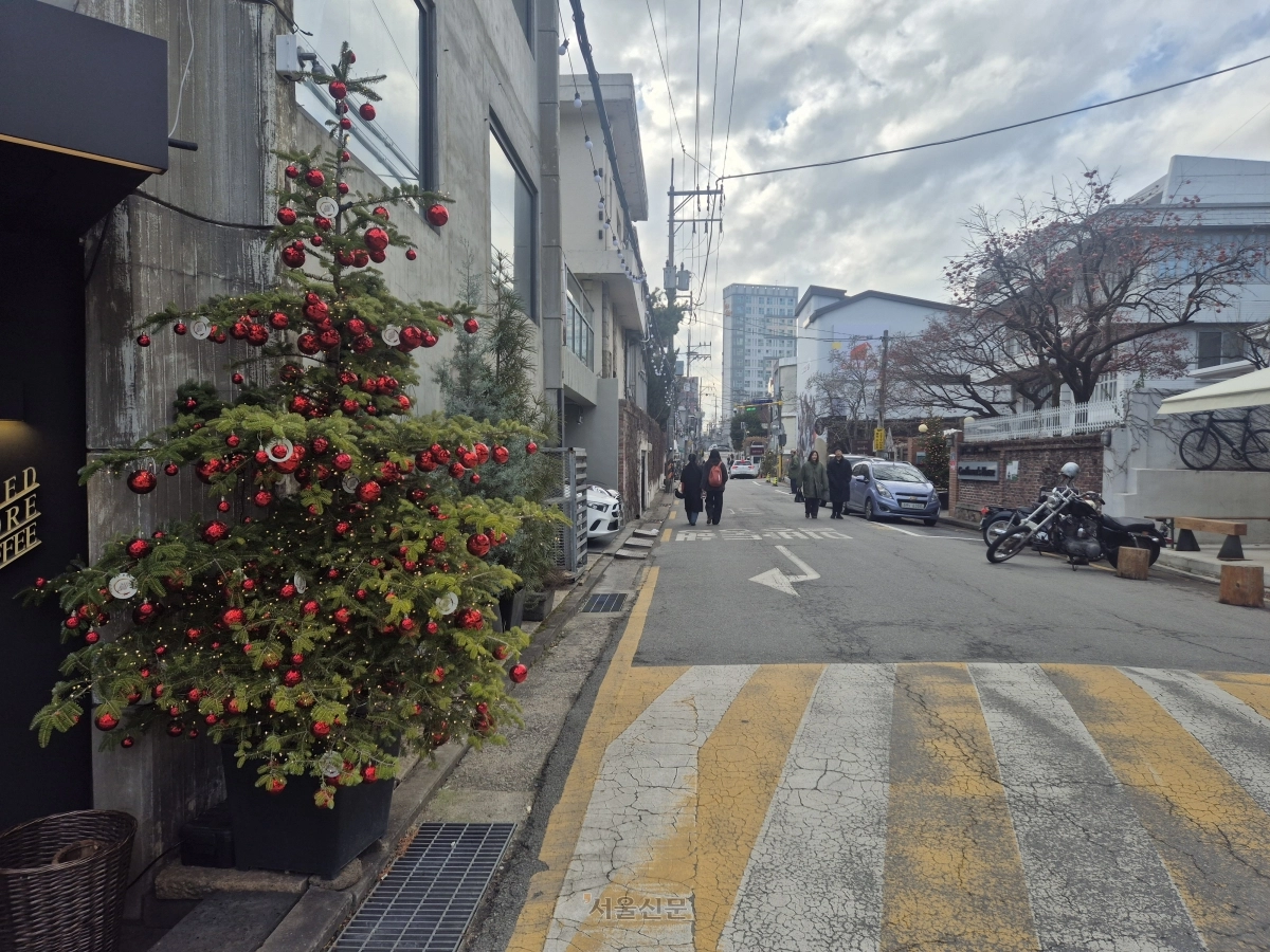 지난 19일 연희동 골목길에 조성된 ‘연희 크리스마스 타운’의 구상나무 트리.