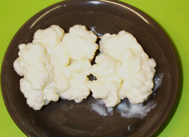 케피어 관련 이미지. 위키피다아