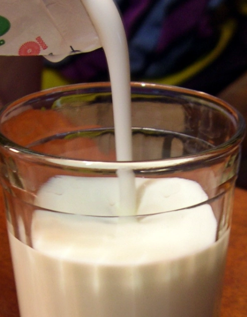 케피어 관련 이미지. 위키피디아