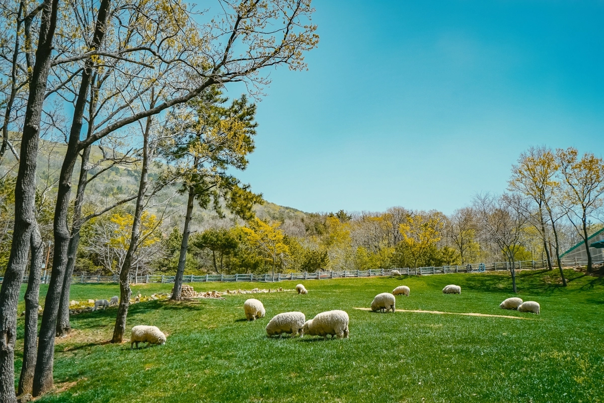 거제 대표 관광지로 꼽히는  숲소리공원.  거제시 제공