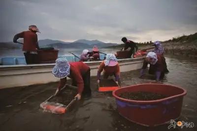 믿고 먹던 유명 해산물, 중국산이었다…배신감에 ‘황당’