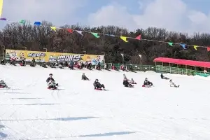 금천 어린이들 눈썰매 타며 겨울 추억 쌓아요
