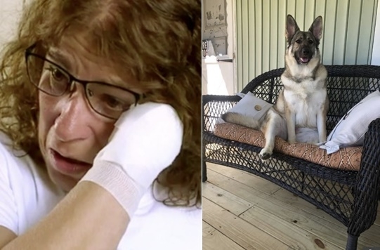 미국 오하이오주에 사는 60세 여성이 강아지와 포옹을 한 뒤 박테리아 감염으로 팔과 다리를 잃은 사연이 전해졌다. 더선 캡처