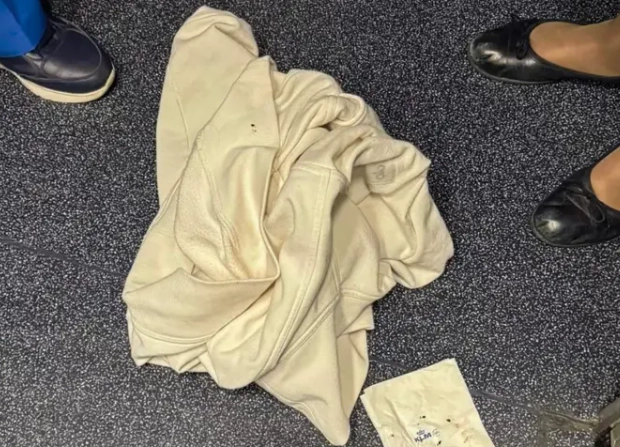 국제선 여객기에 탑승했던 미국의 한 가족이 기내에 들끓는 빈대에게 물려 큰 피해를 보았다며 항공사를 상대로 거액의 손해배상 청구 소송을 제기했다. 미국 버지니아 로어노크 서부 지구 연방 지방법원 제공