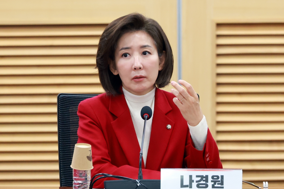 나경원 국민의힘 의원이 24일 국회 의원회관에서 열린 온라인 접속국가 표시제 입법을 위한 정책토론회에 참석해 발언하고 있다. 2025.12.24 연합뉴스