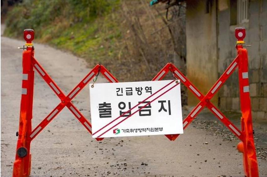 지난 11월 24일 ASF 발생이 확인된 충남 당진시 한 돼지농장. 서울신문 DB