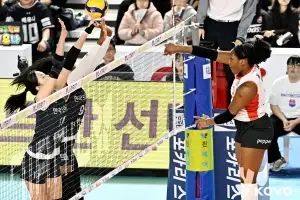 새 선수 영입하고, 감독도 바꿔보고…배구팀들, 간절한 하위권 탈출기