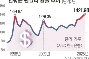 ‘뉴노멀’ 고환율