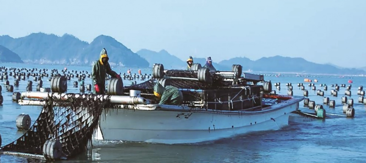 완도물산영어조합법인이 직접 운영하고 있는 전남 완도 김 양식장. 완도물산 제공
