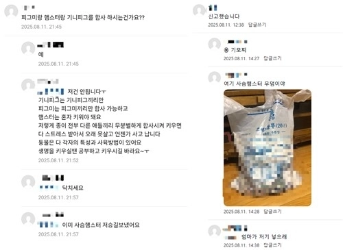 A씨가 네이버 카페에 작성한 글에 달린 댓글. 네이버 카페 캡처