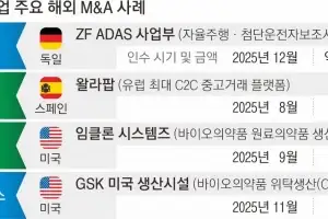 돈보다 핵심 기술·생산 거점 확보… 국내 기업들 ‘해외 M＆A’ 승부수