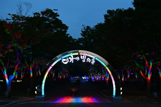 고령군이 62억원 사업비를 들여 대가야수목원의 밤을 빛의 향연으로 꾸민 ‘대가야 빛의숲’. 고령군 제공