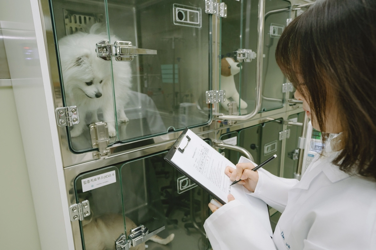 반려동물보건과