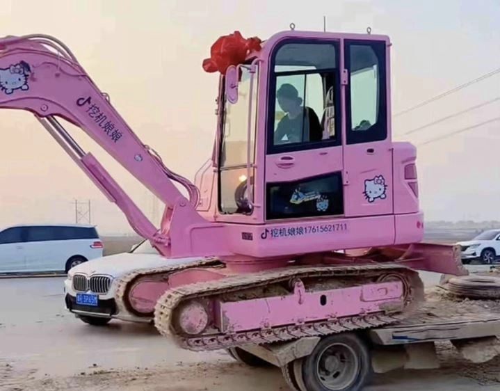 건설 현장에서 분홍색 굴착기로 작업 중인 장씨. 더우인 캡처