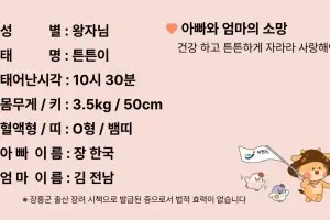 장흥군, ‘아기 주민등록증’ 무료 발급 서비스 시행