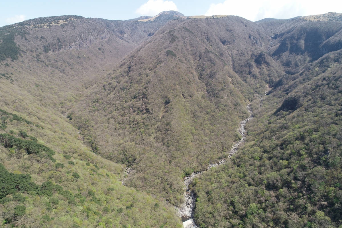 어리목계곡과 용천수 원경. 제주도 세계유산본부 제공