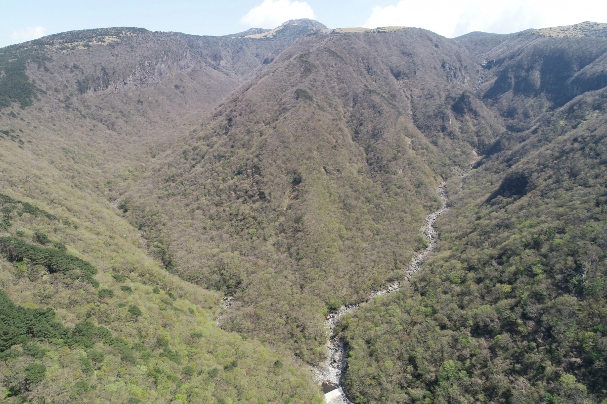 어리목계곡과 용천수 원경. 제주도 세계유산본부 제공