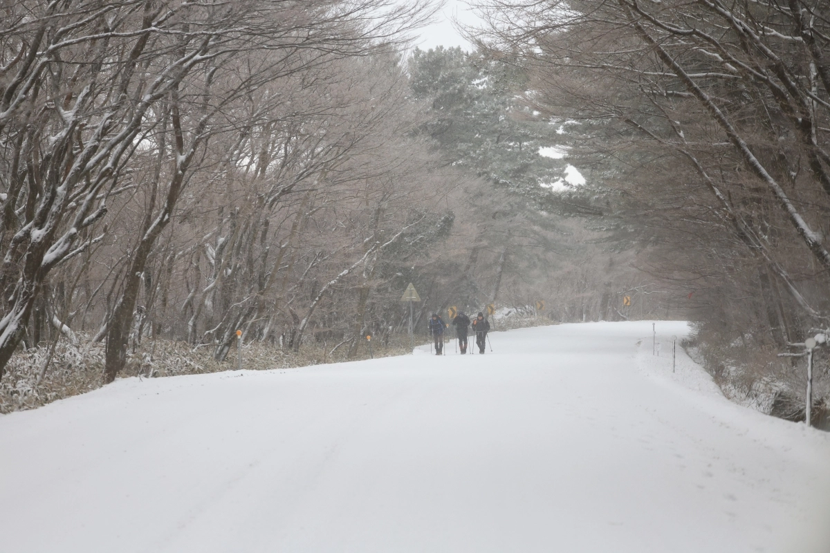 겨울왕국으로 가는 길