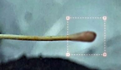 시신의 코에 넣어 확인한 면봉의 모습   사진- 방송 용감한형사들 캡처