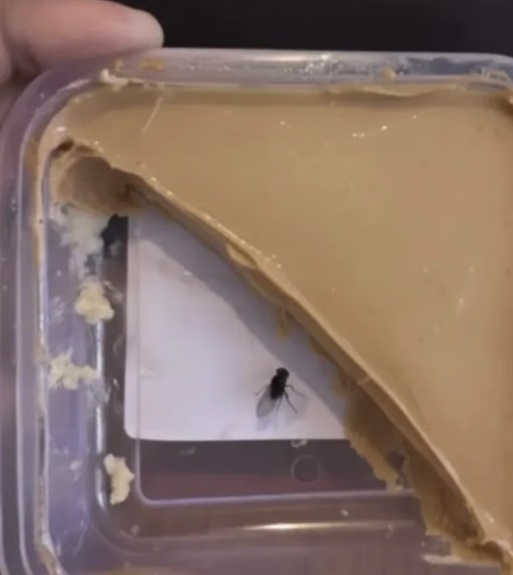 인공지능(AI)을 악용해 음식 사진을 조작한 뒤 환불을 요구하는 신종 사기가 영국에서 확산되고 있다. SNS 캡처