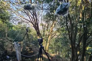 전남 난대 숲, 겨울에도 피톤치드 발산 활발