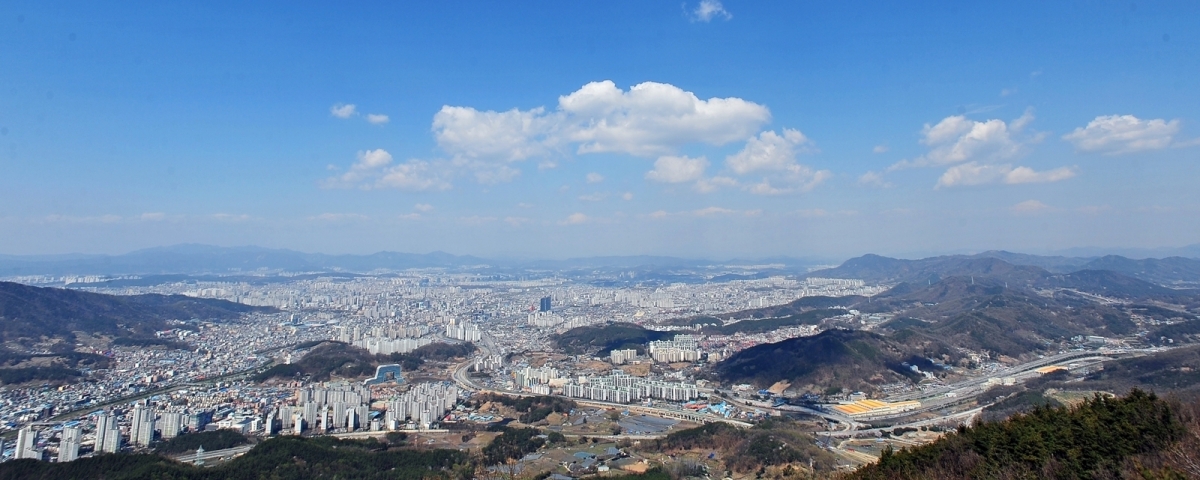 대전시 전경. 서울신문 DB