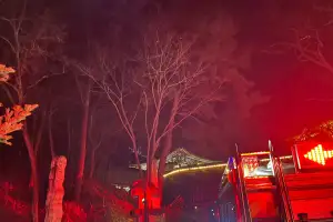 팔공산 도림사 인근 야산서 불…50분 만에 진화