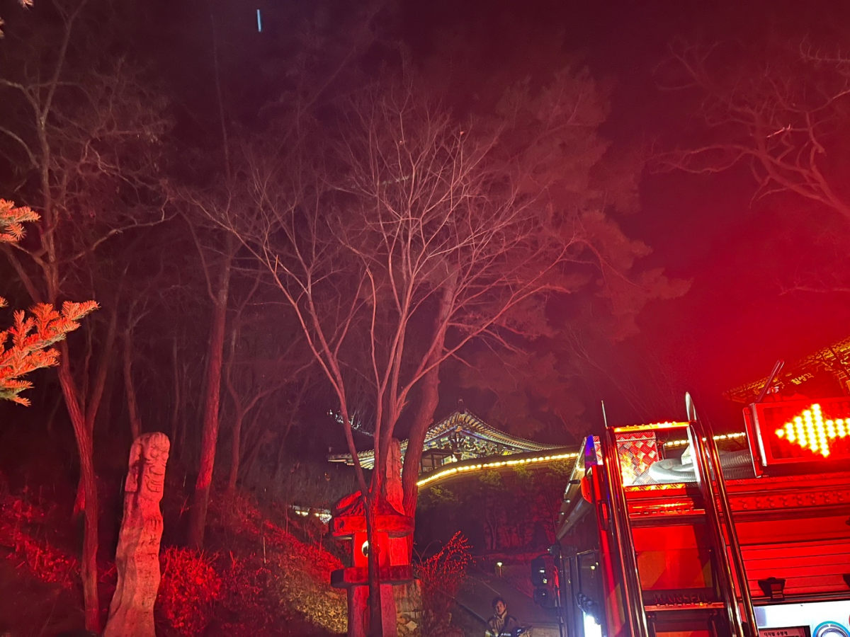지난 5일 오후 6시30분쯤 대구 동구 도림사 인근 산에 불이 나 소방 당국이 진화 작업을 벌이고 있다. 대구소방안전본부 제공