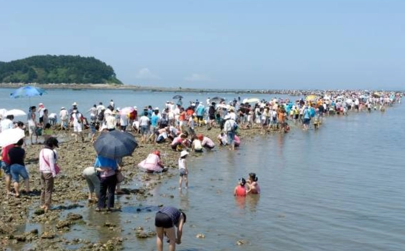 무창포해수욕장과 석대도 사이 1.5㎞ 구간에 펼쳐진 신비의 바닷길. 서울신문DB