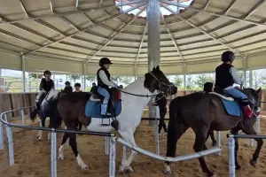 ‘붉은 말의 해’ 전북, 말산업 육성 속도 낸다