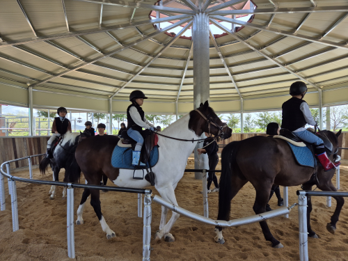 승마 체험하는 학생들. 전북도 제공