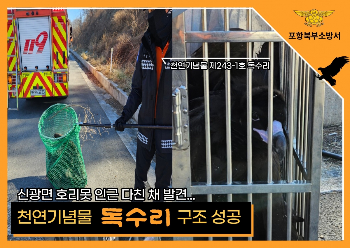 천연기념물 독수리 구조에 성공한 소방대원. 포항북부소방서 제공