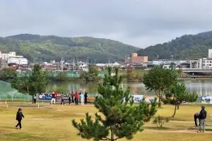 말 많고 탈 많은 파크골프장… 지자체들 직영 전환 붐