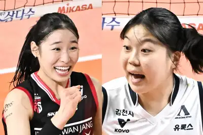 ‘구장·스타·샛별 ‘3박자’… 프로배구 흥행몰이