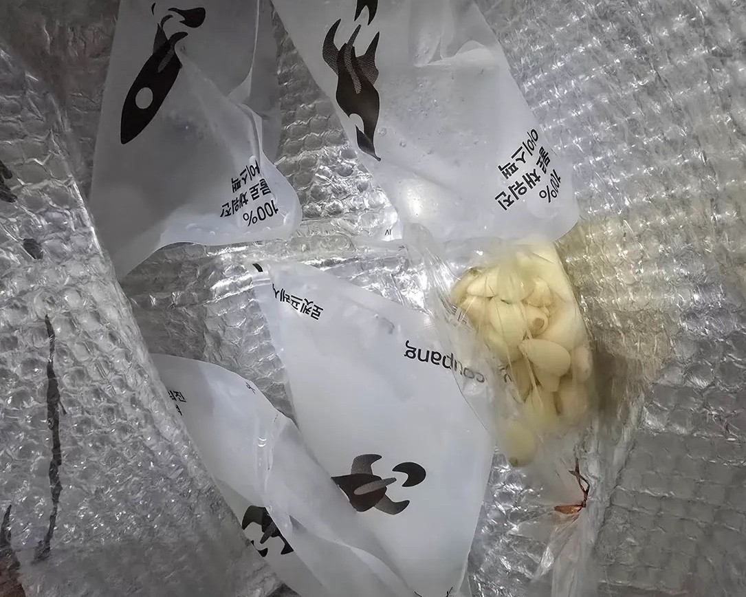 쿠팡의 과대포장 문제가 또 다시 도마 위에 올랐다. 사진은 한 누리꾼이 “로켓프레시 박스로 받기 했다가 8박스가 문 앞에 있었다”며 “문제는 박스 크기도 큰데 아이스팩도 하나씩 들어 있는 것도 아니고 여러 개 들어 있었다”고 지적하며 올린 사진. 스레드 캡처