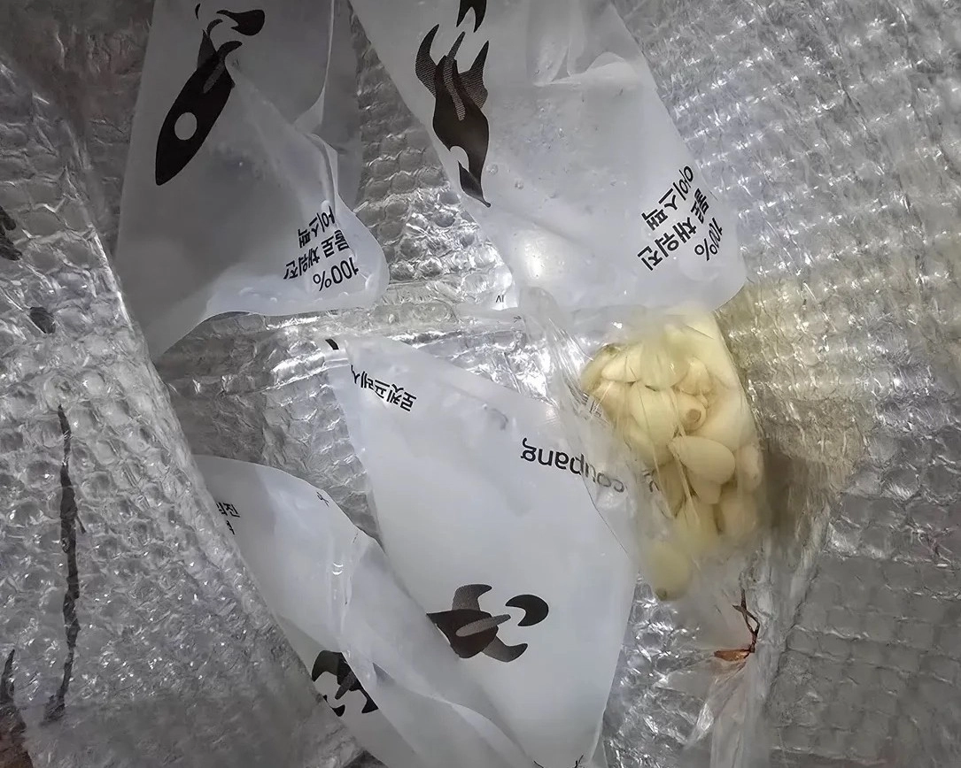 쿠팡의 과대포장 문제가 또 다시 도마 위에 올랐다. 사진은 한 누리꾼이 “로켓프레시 박스로 받기 했다가 8박스가 문 앞에 있었다”며 “문제는 박스 크기도 큰데 아이스팩도 하나씩 들어 있는 것도 아니고 여러 개 들어 있었다”고 지적하며 올린 사진. 스레드 캡처